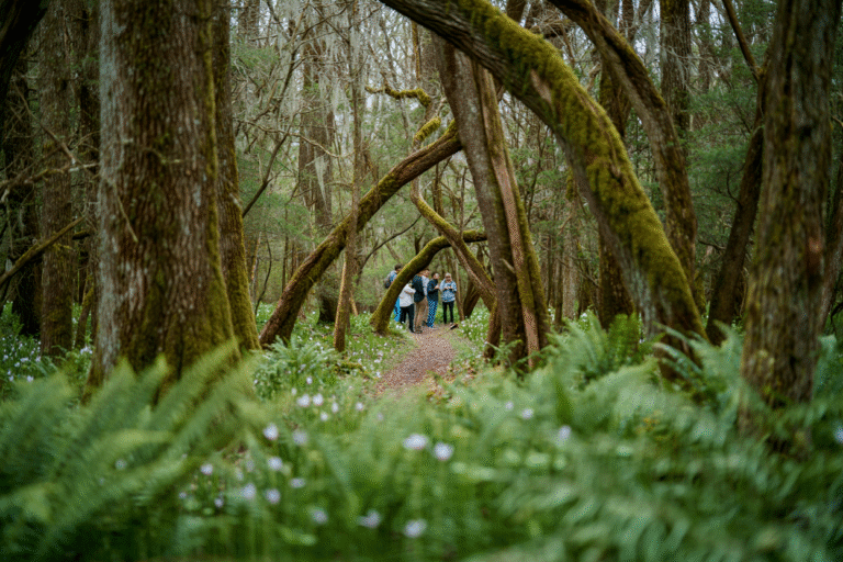 Hidden-Gem State Parks in North Carolina for Toddlers