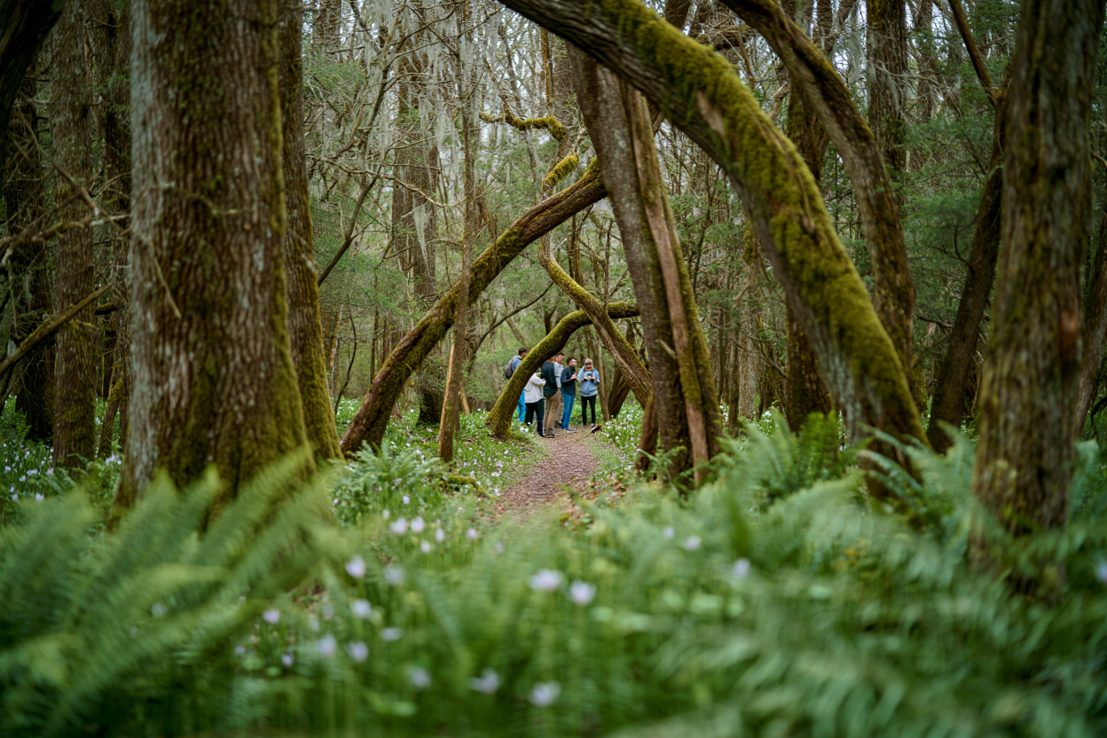 Hidden-Gem State Parks in North Carolina for Toddlers