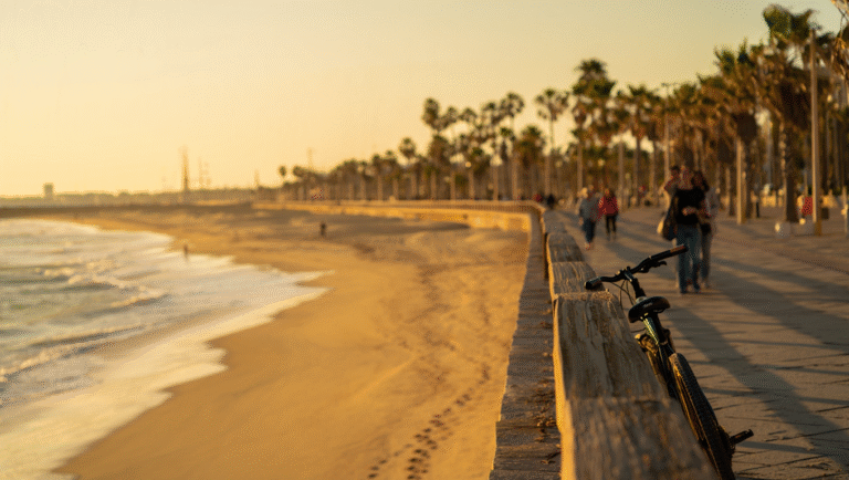 Tech minimalists / quiet living