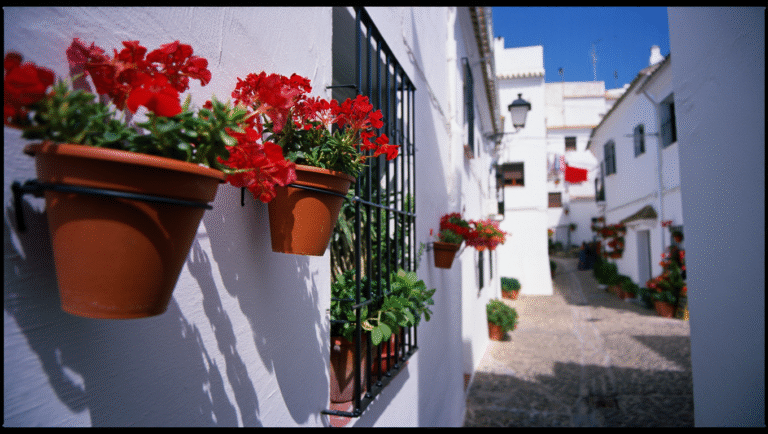 Remote in Spain: eSIM/Data, Power Adapters, Etiquette