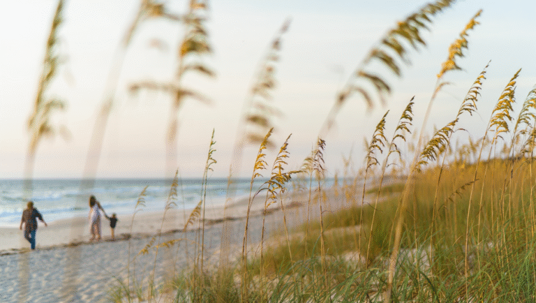 Blue Ridge Parkway with Kids: 3-Day Road Trip